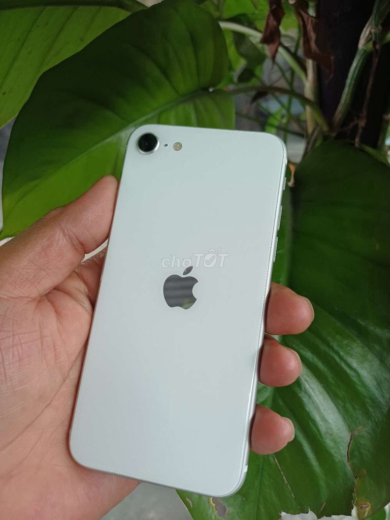 Apple iPhone SE 64GB quốc tế . Mua bán Điện thoại tại Thành phố Tân An Long An được đăng bởi Cầm đồ Kim Đồng Mỹ Tho Tiền Giang  hình 1