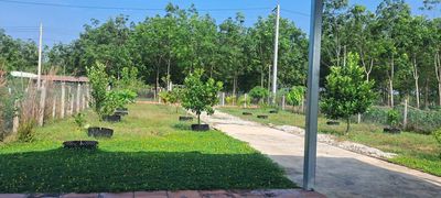 Với 516 nghìn/m2 sổ hữu ngay lô đất 2487m2 có thổ cư tại Minh Thạnh