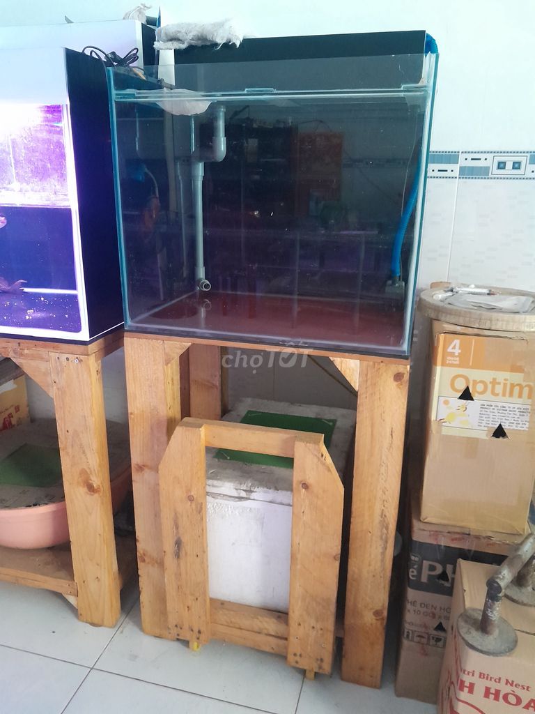 Hồ cá cảnh 60x40x50cm. Mua bán Phụ kiện, Thức ăn, Dịch vụ tại Quận Ninh Kiều Cần Thơ được đăng bởi Tấn Lực Trần hình 1