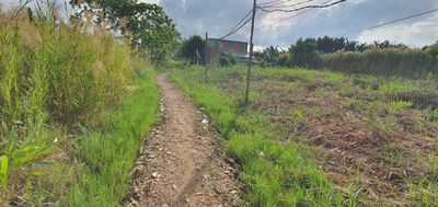 520 m2 hẻm Lê Văn Lương
