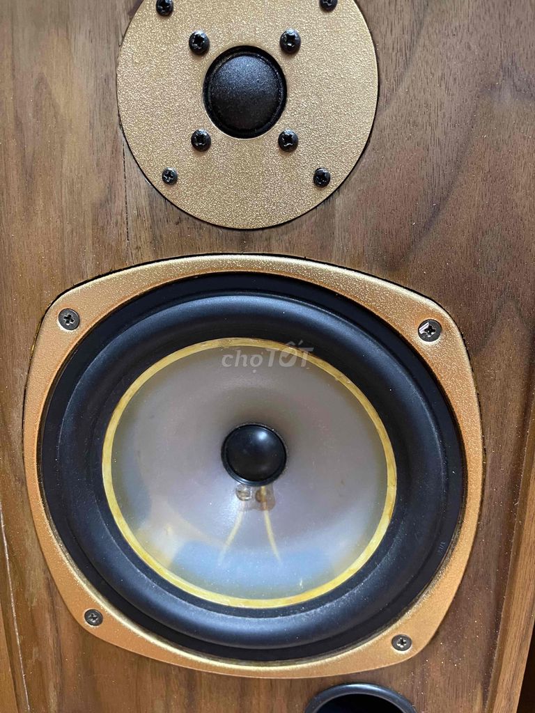 loa anh tannoy M20