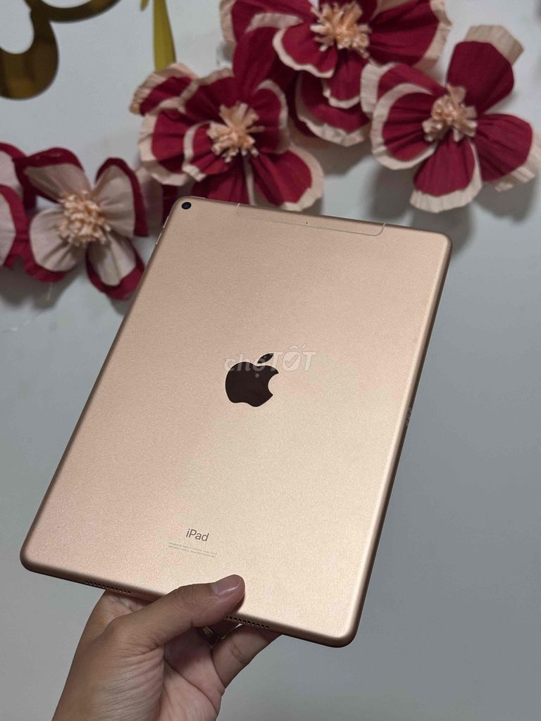 Apple iPad Air 3 64GB 4G zin đẹp. Mua bán Máy tính bảng tại Quận Bình Thuỷ Cần Thơ được đăng bởi Nguyễn Thanh Toàn hình 1