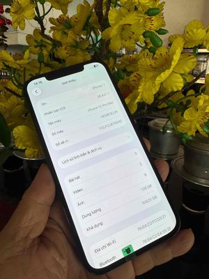 iPhone 12 prm 128G xanh Mỹ Đã sử dụng