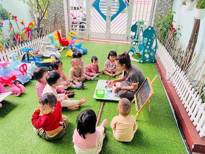 mầm non Cá Heo Xanh