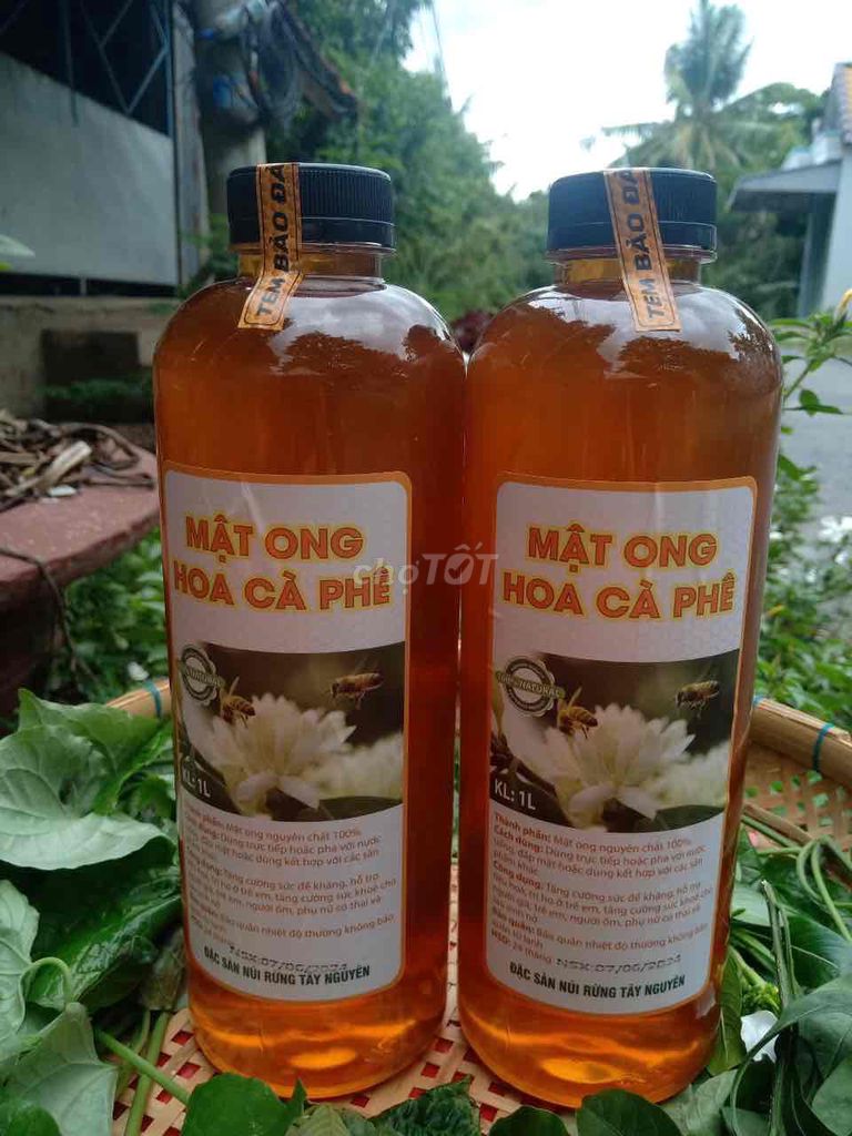 mật ong hoa cà phê