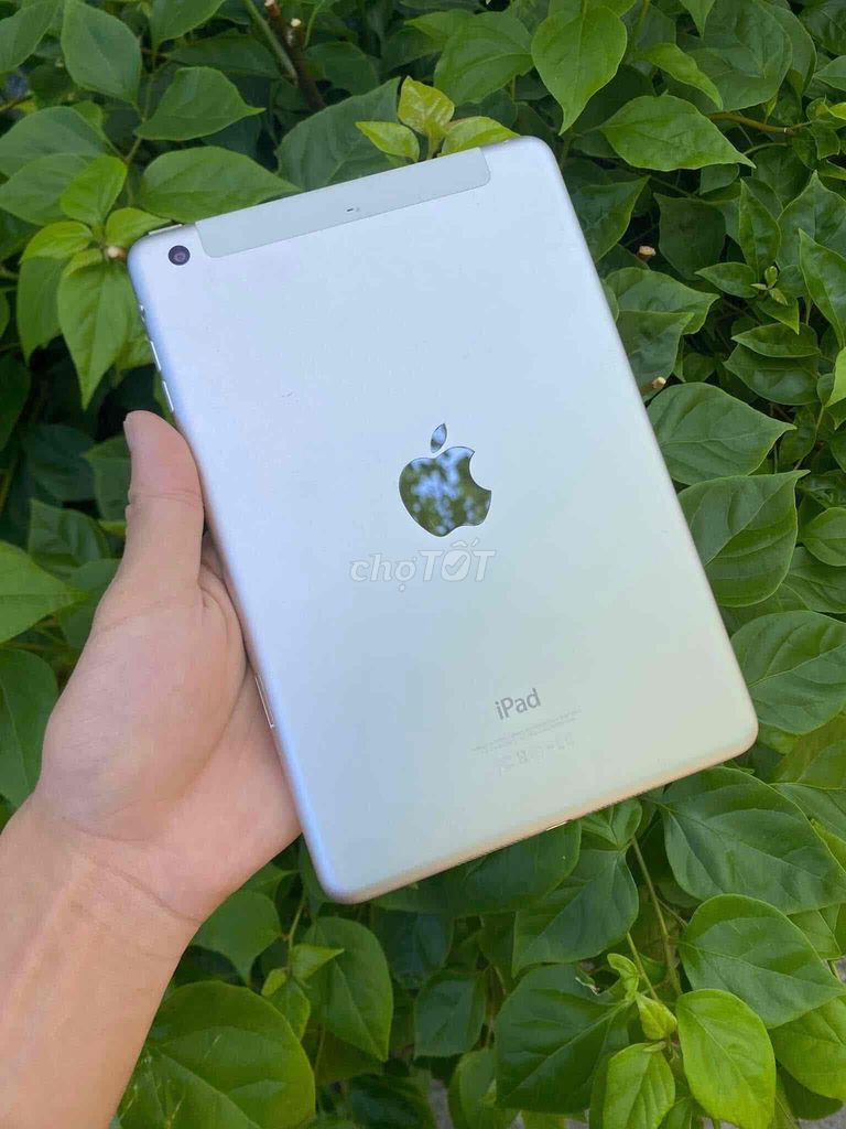 Cần bán iPad Mini 2