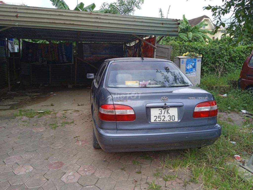 Ảnh số 7
