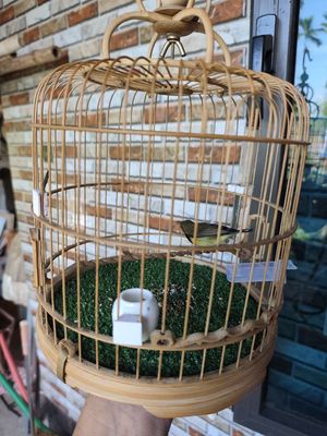 Thanh lý chim hút mật 5m đẹp. Mua bán Chim tại Huyện Trực Ninh Nam Định được đăng bởi Nội Thất Phạm Tổng