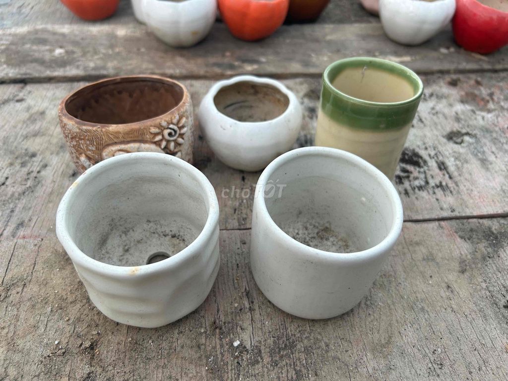 Chậu cây gốm sứ 8x6cm. Mua bán Cây cảnh, đồ trang trí tại Thành phố Phan Rang-Tháp Chàm Ninh Thuận được đăng bởi Nguyễn Hùng hình 1