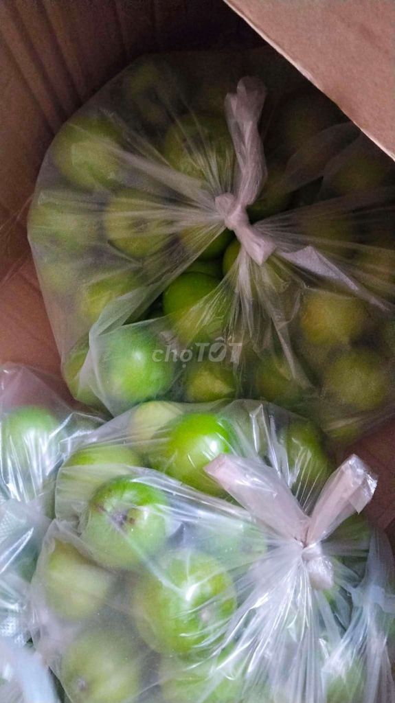 Táo Xanh Ninh Thuận Giòn Ngọt. Mua bán Đồ ăn, thực phẩm và các loại khác tại Thành phố Thuận An Bình Dương được đăng bởi nguyen khoa hình 1