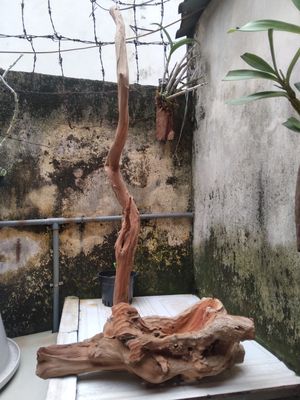 Tay treo liền khối. Mua bán Nội thất, đồ gia dụng khác tại Thành phố Thái Bình Thái Bình được đăng bởi Thiên Ân