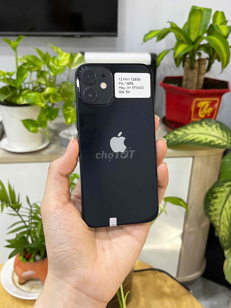 Apple iPhone 12 Mini 128GB Đen Quốc tế 99%. Mua bán Điện thoại tại Huyện Hóc Môn Tp Hồ Chí Minh được đăng bởi SIRI STORE HCM hình 1