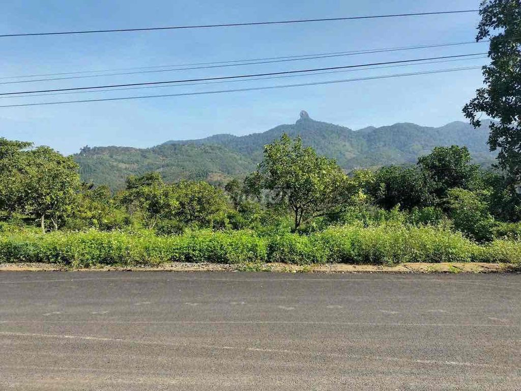 cần tiền mình bán miếng đất siêu rẻ. Mua bán đất tại Huyện Đạ Huoai Lâm Đồng được đăng bởi Phạm vân anh hình 3