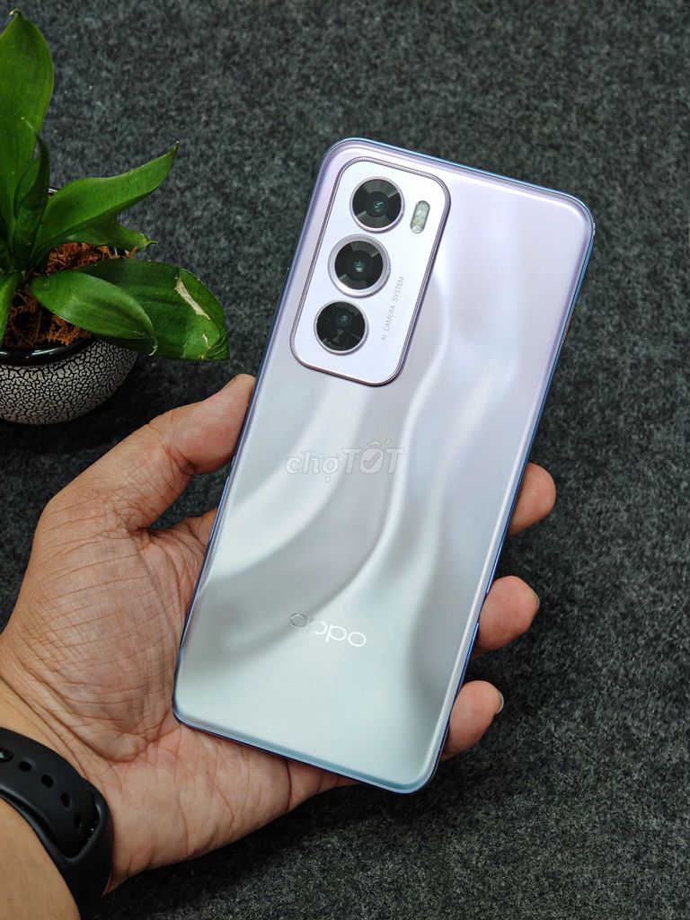 OPPO Reno 12 Pro | Reno 12 5G New Nobox _ Trả Góp. Mua bán Điện thoại tại Thành phố Thủ Dầu Một Bình Dương được đăng bởi Vio Store Thủ Dầu Một hình 1
