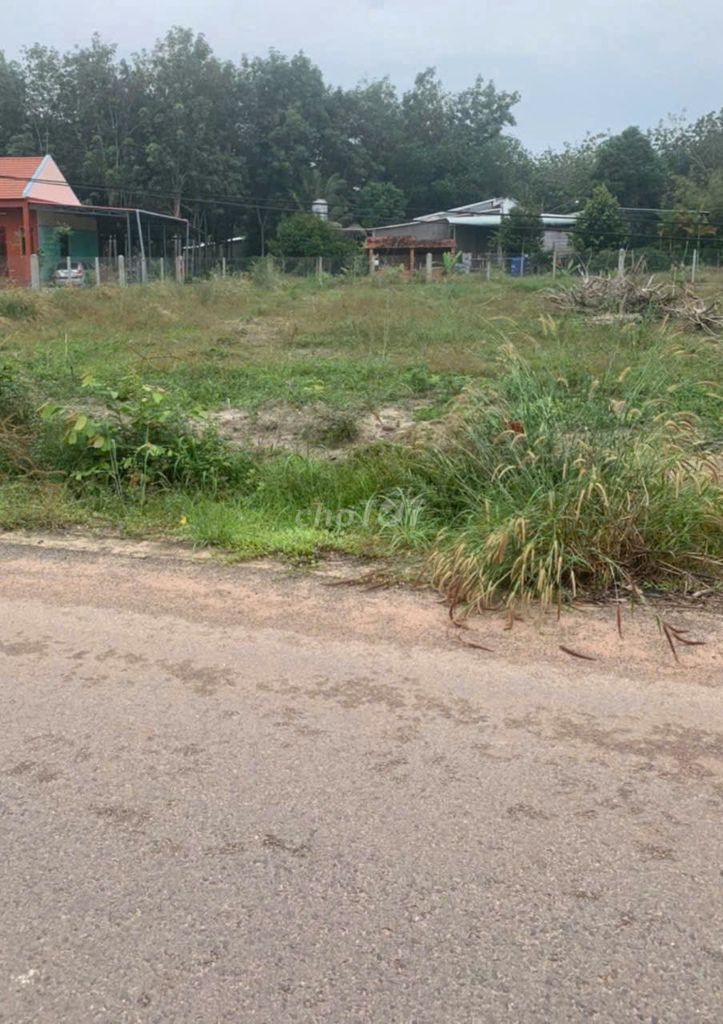 Sang gấp 250m2 thổ cư, đường nhựa gần chợ phước an chỉ 170tr. Mua bán Đất tại Huyện Hớn Quản Bình Phước được đăng bởi Trân hình 4