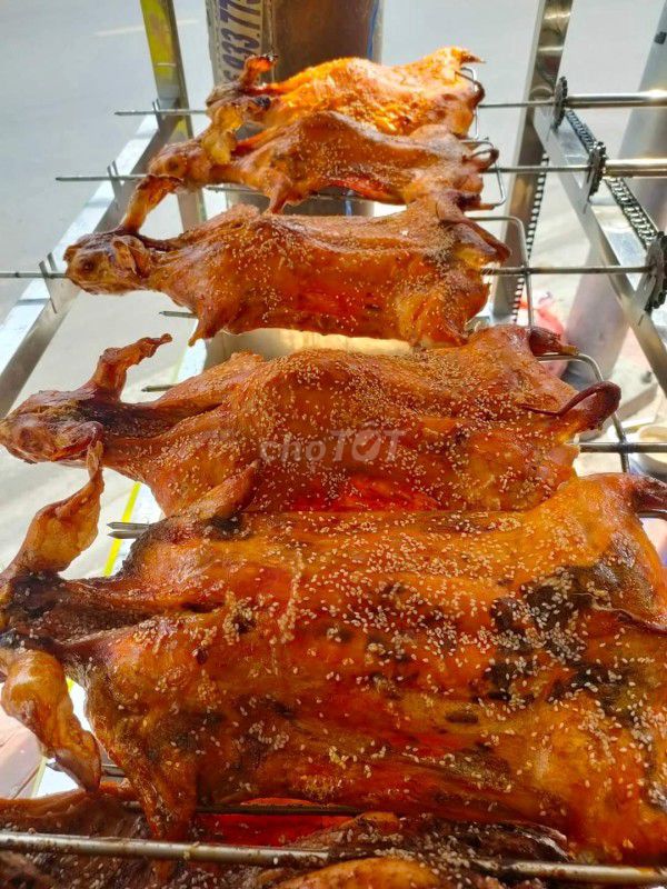 Bán thỏ thịt tươi, thỏ nướng sỉ lẻ Q.8, TP HCM