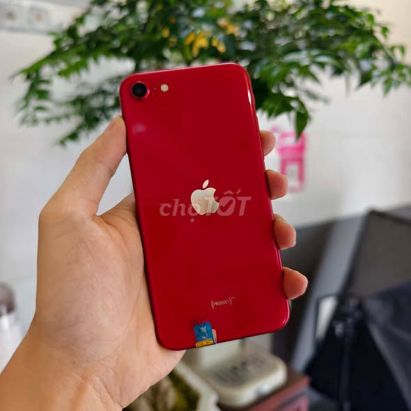 Apple iPhone SE 2020 128GB Đỏ. Mua bán Điện thoại tại Quận 11 Tp Hồ Chí Minh được đăng bởi Hội Đồ Điện Tử hình 1