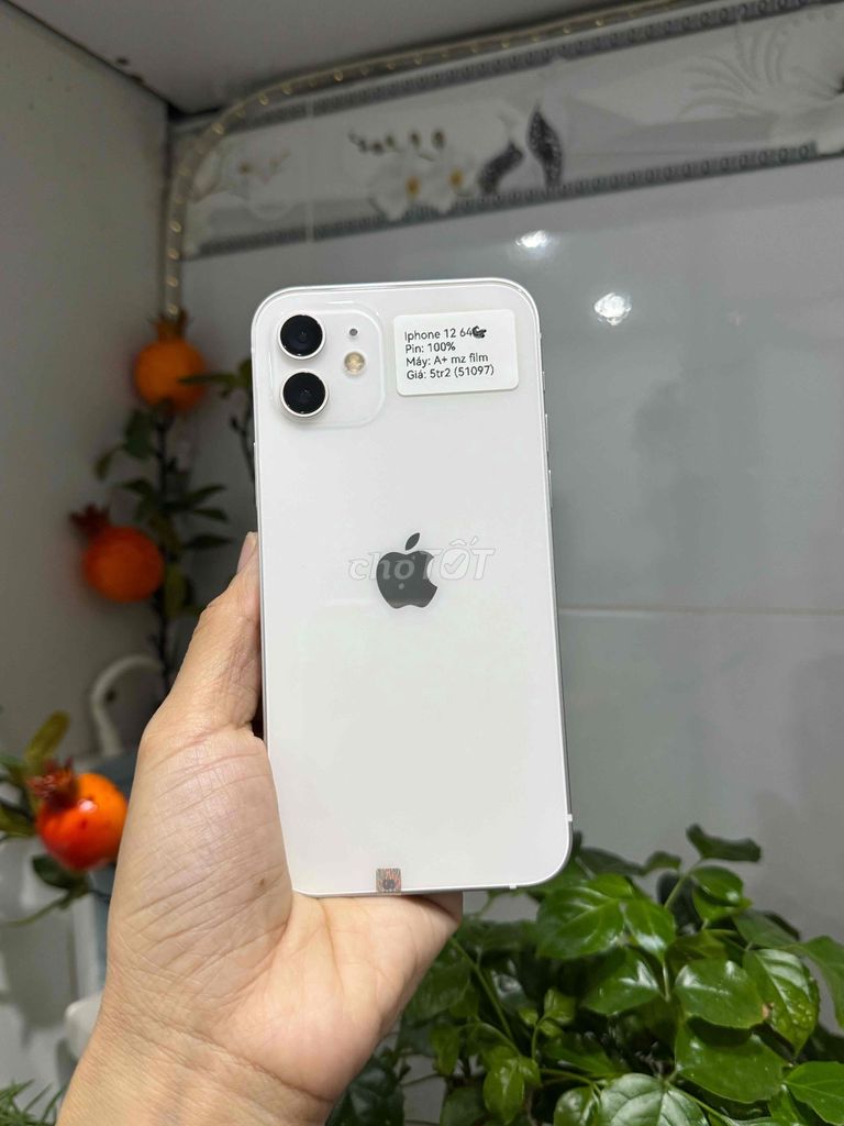 Apple iPhone 12 64GB Trắng Đã sử dụng. Mua bán Điện thoại tại Huyện Hóc Môn Tp Hồ Chí Minh được đăng bởi Nguyễn Thu hình 1