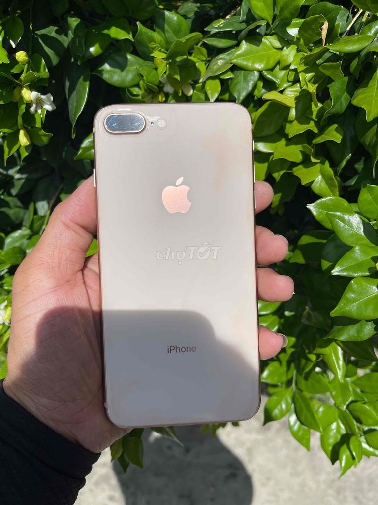 Apple iPhone 8 Plus 64GB Vàng hồng. Mua bán Điện thoại tại Thành phố Cao Lãnh Đồng Tháp được đăng bởi Bạch Kỳ hình 1
