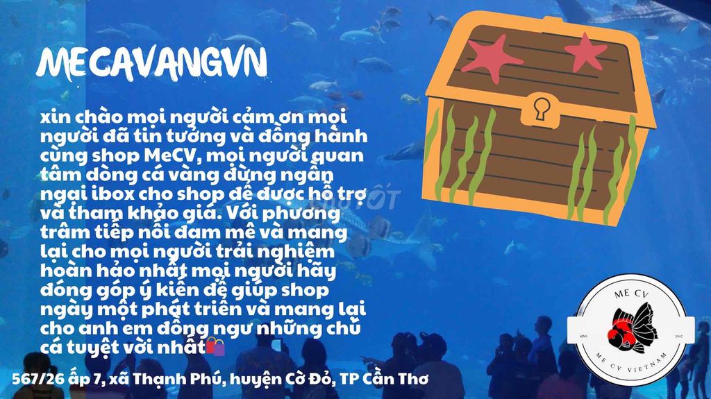 oranda hangd grom cho ae trưng tết