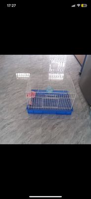Lồng chuột hamster 🐹. Mua bán Phụ kiện, Thức ăn, Dịch vụ tại Quận Bình Tân Tp Hồ Chí Minh được đăng bởi Trần Minh Thư