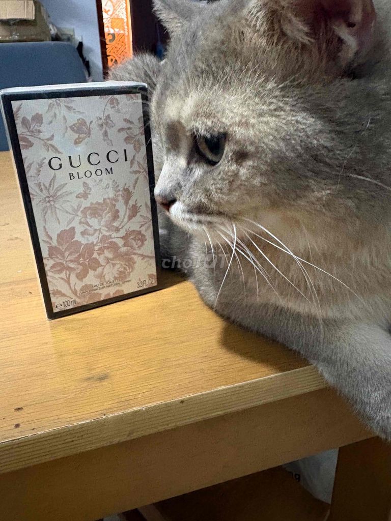 Nước hoa Gucci Bloom Nữ 15ml. Mua bán Nước hoa tại Quận 12 Tp Hồ Chí Minh được đăng bởi Trần Bảo Ngọc hình 1