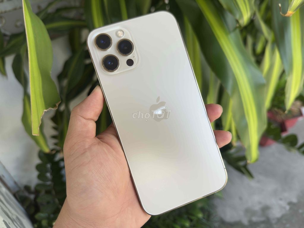 Apple iPhone 12 Pro Max 256GB Vàng. Mua bán Điện thoại tại Quận Ninh Kiều Cần Thơ được đăng bởi ĐIỆN THOẠI GIÁ TỐT UY TÍN  hình 1