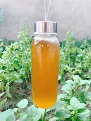 E chuyên bán mật ong rừng núi cao muôn ba tơ. Mua bán Đồ ăn, thực phẩm và các loại khác tại Quận Hải Châu Đà Nẵng được đăng bởi tommy teo