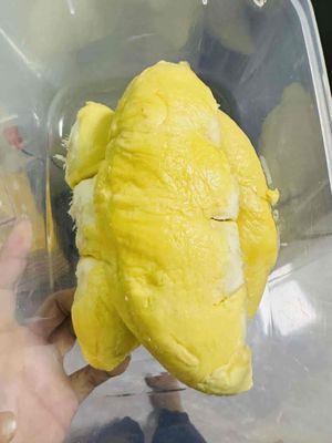 sầu ri6. Mua bán Đồ ăn, thực phẩm và các loại khác tại Quận 12 Tp Hồ Chí Minh được đăng bởi gấu bông