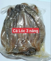 KHÔ  -  CÁ 1 NẮNG Trang Thi