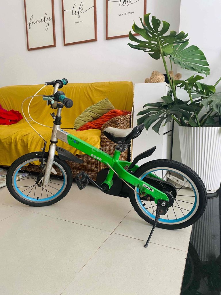 xe đạp hiệu Babyroyal 16 inch cho bé