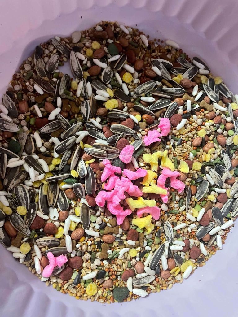Thức ăn Hamster 500g Hạt hướng dương. Mua bán Phụ kiện, Thức ăn, Dịch vụ tại Huyện Hóc Môn Tp Hồ Chí Minh được đăng bởi Mỹ Linh hình 1