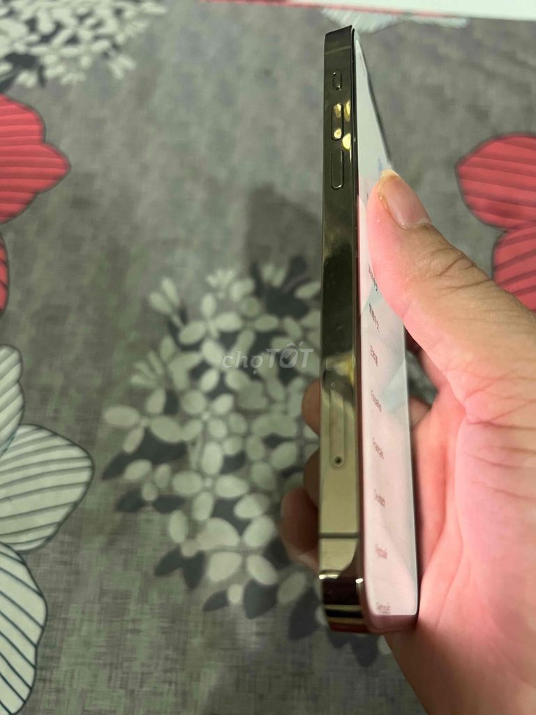 Apple iPhone 12 Pro Vàng Đã sử dụng. Mua bán Điện thoại tại Thành phố Thủ Đức Tp Hồ Chí Minh được đăng bởi khang nguyễn hình 1