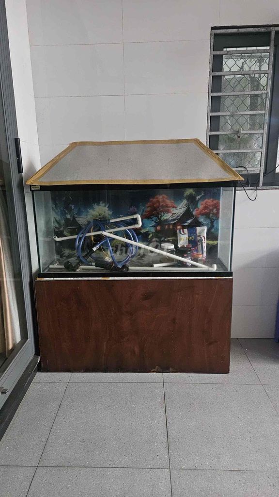 Hồ cá Kính. Mua bán Phụ kiện, Thức ăn, Dịch vụ tại Quận Liên Chiểu Đà Nẵng được đăng bởi T hình 1