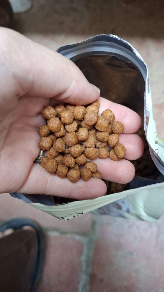 Thức ăn cho chó ANF AD27 1.6kg. Mua bán Phụ kiện, Thức ăn, Dịch vụ tại Quận Hoàng Mai Hà Nội được đăng bởi Thu Sẽ Gầy hình 3