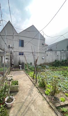 Chính chủ bán đất Phúc Thọ FULL THỔ CƯ-32.5tr/m2