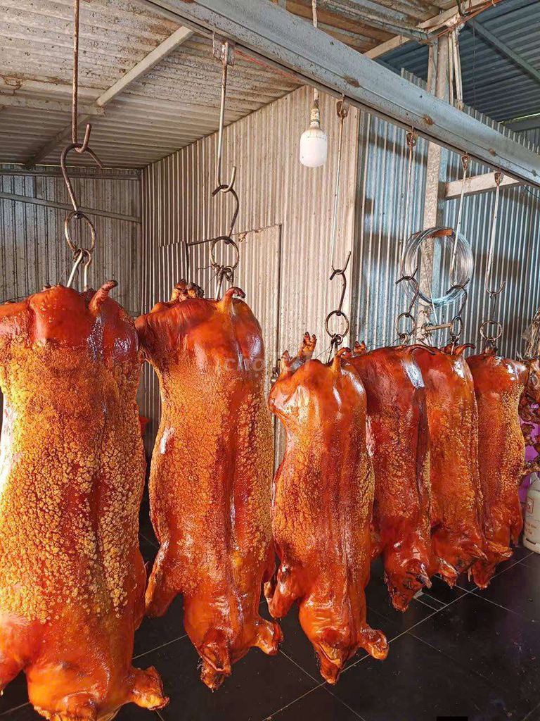 Heo quay nguyên con da giòn Cúng đám tiệc ,Đất đai. Mua bán Đồ ăn, thực phẩm và các loại khác tại Huyện Châu Thành Đồng Tháp được đăng bởi An Thái hình 1