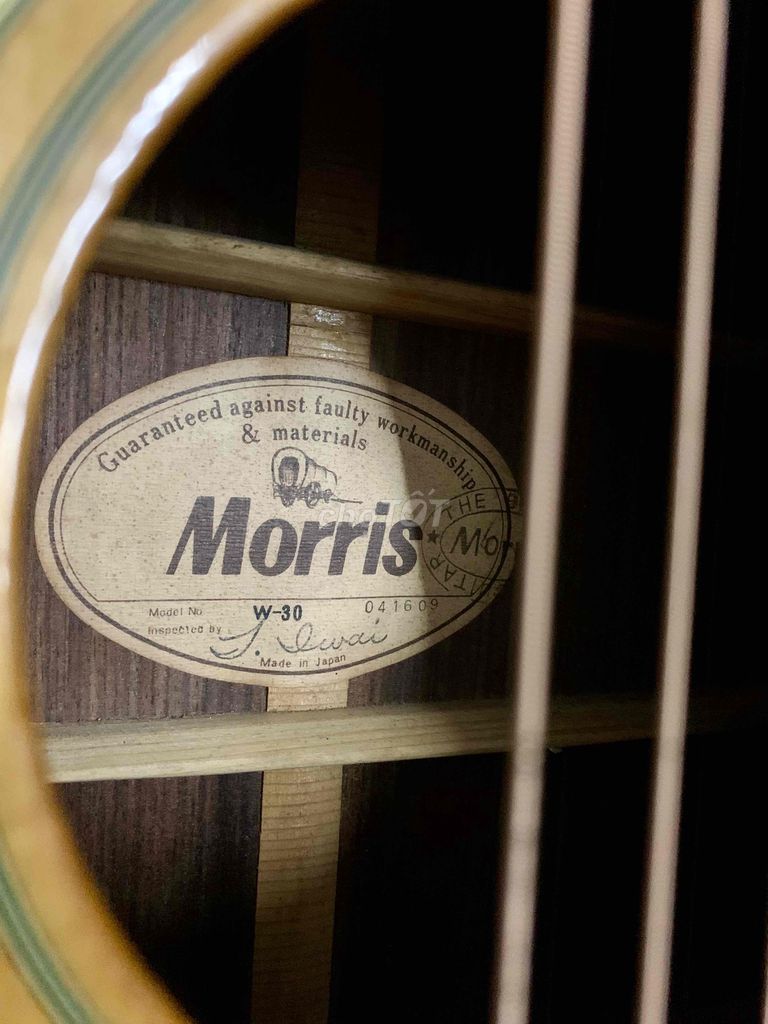 GUITAR MORRIS W-30 TẠI TPHCM