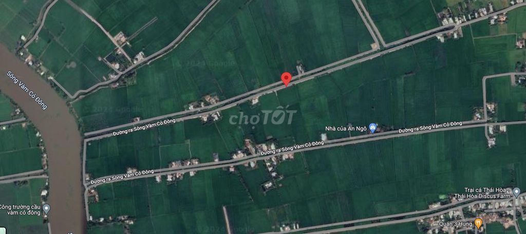 Cần bán 2800 m2 đất trồng lúa, giá tốt, An Ninh Tây, Đức Hoà, Long An