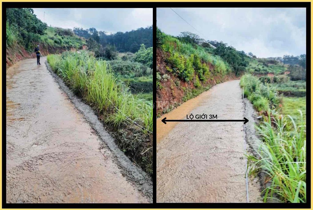 Bán Đất ĐÀ LẠT, xã Xuân Thọ sổ riêng diện tích 248m2 (Thực tế 310m2). Mua bán đất tại Thành phố Đà Lạt Lâm Đồng được đăng bởi Phương Nguyễn hình 5