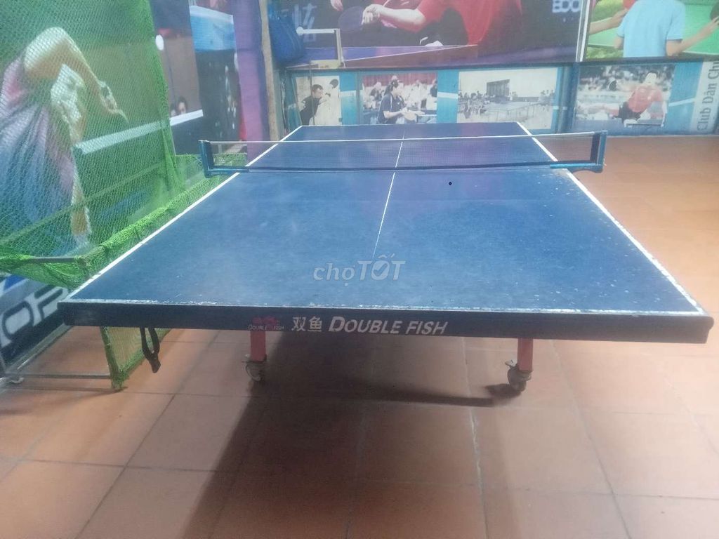 Bàn bóng bàn Double Fish xanh dương. Mua bán Đồ thể thao, Dã ngoại tại Quận Hoàng Mai Hà Nội được đăng bởi Anh Bảy hình 1