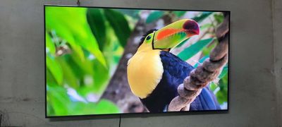50inch samsung. Mua bán Tivi, Âm thanh tại Thành phố Thủ Dầu Một Bình Dương được đăng bởi Hoàng Tú