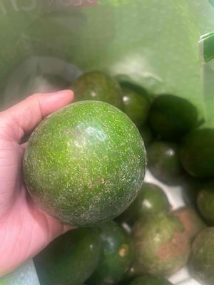 Bơ booth daklak. Mua bán Đồ ăn, thực phẩm và các loại khác tại Thành phố Thủ Đức Tp Hồ Chí Minh được đăng bởi viên