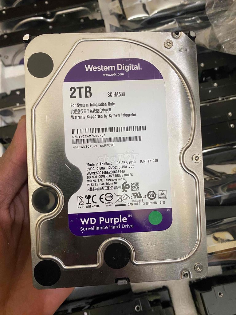 Ổ cứng hdd 2Tb wd tím BH 2 năm