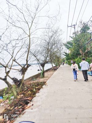 Bán 497m đất Cây LN Hưng Phú. Mua bán đất tại Quận Cái Răng Cần Thơ được đăng bởi Nguyễn bá Nghĩa
