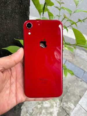 Bán XR 128G 2 Sim vật lý. Mua bán Điện thoại tại Quận Hoàn Kiếm Hà Nội được đăng bởi Nhung Tuyết