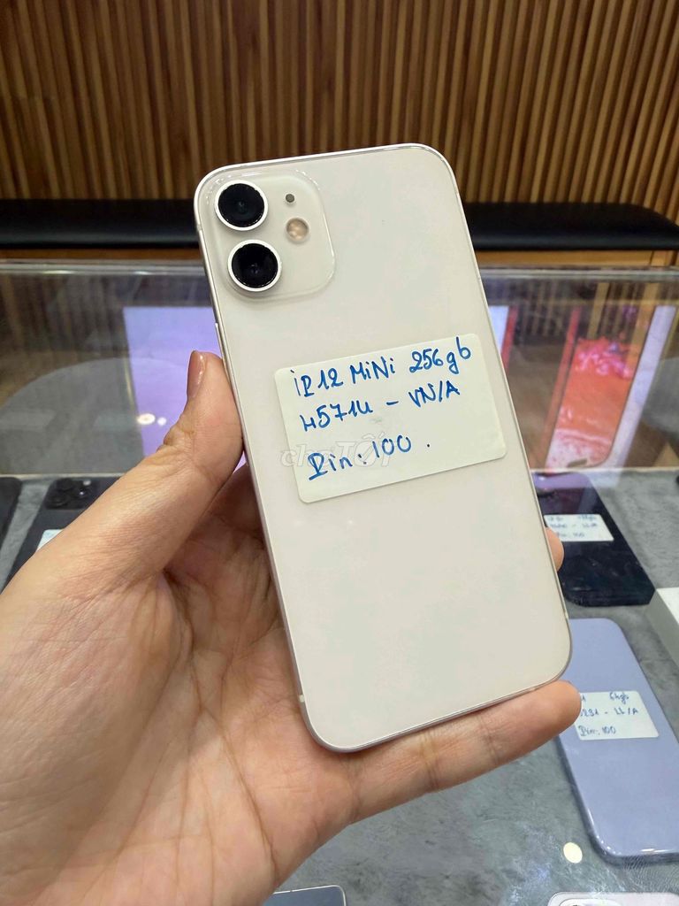iPhone 12 mini 256GB Trắng pin 100. Mua bán Điện thoại tại Quận 10 Tp Hồ Chí Minh được đăng bởi Đăng Sơn Store hình 1