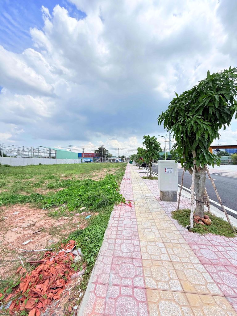 125m² - SHR - 3tỷ7 - đất Nguyễn Văn Bứa, Hóc Môn - trục chính - chủ - ảnh 4