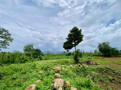 💥1.28 hecta đất siêu đẹp nằm trên mặt đường lớn Thôn 4 xã Cư Ebur. Mua bán đất tại Thành phố Buôn Ma Thuột Đắk Lắk được đăng bởi Uyên Nhi Địa Ốc