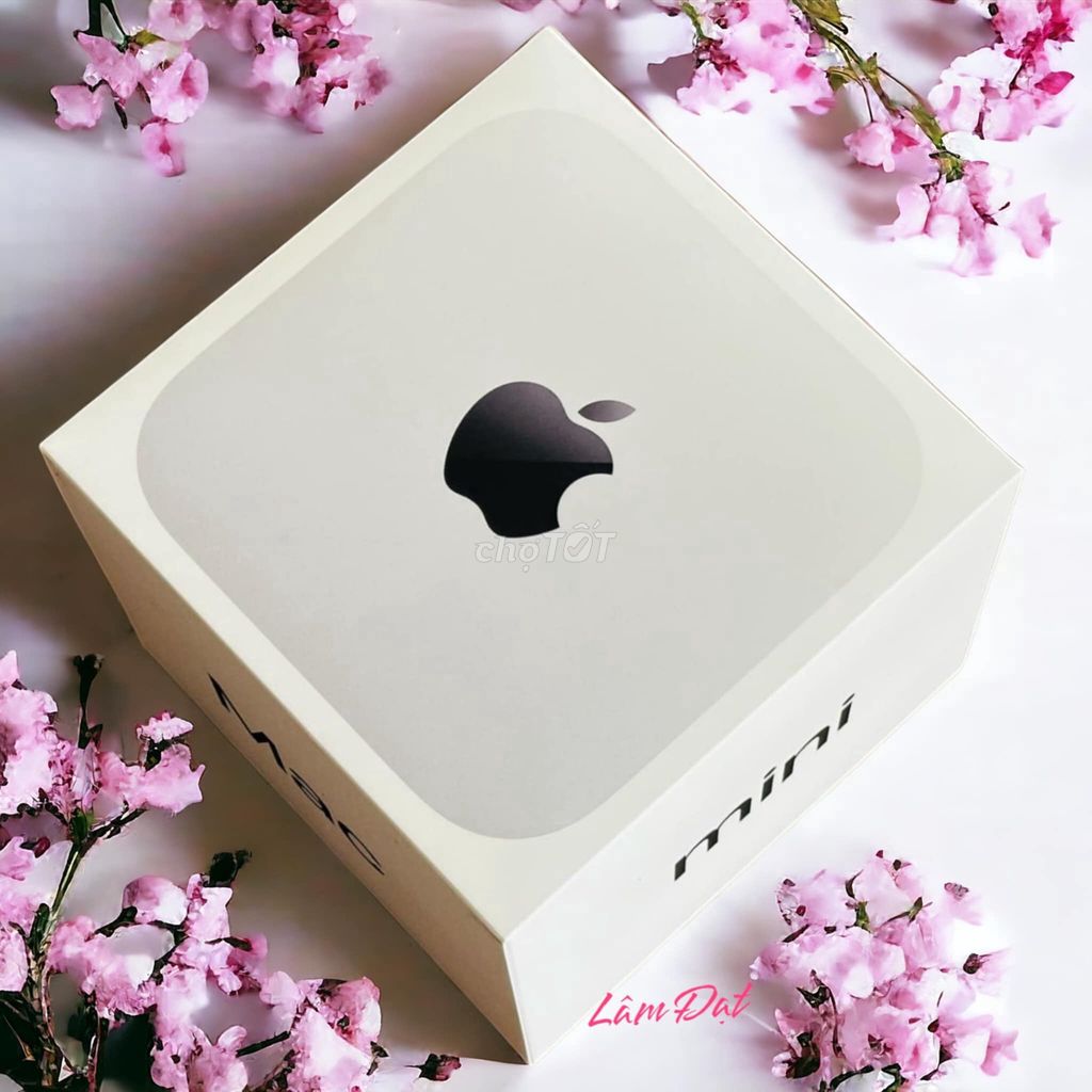 Mac Mini 2024 M4 16GB 256GB New Sealbox hàng VN